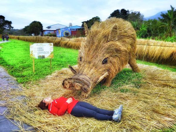 花蓮第一屆稻草藝術季開幕 6米高大猩猩/大型山豬/超可愛松鼠