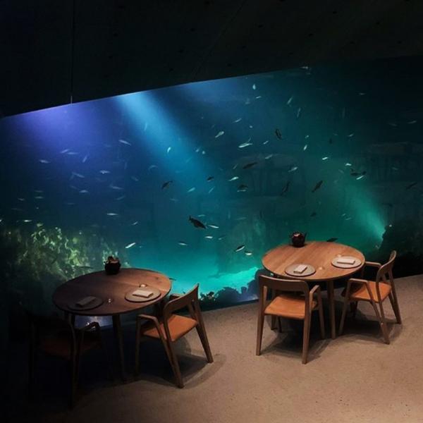 挪威海底餐廳Under水深5米 無敵海景被時代雜誌選為全球百大必去景點