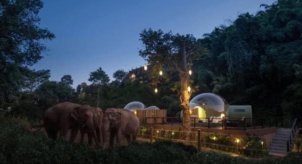 泰國清萊夢幻森林玻璃屋 躺在床上睇大象眼前行過！