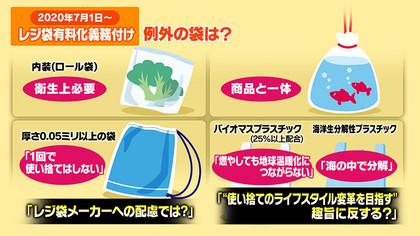日本今年7月起正式實施膠袋徵費 不再派發免費膠袋、百貨公司4月起率先試行