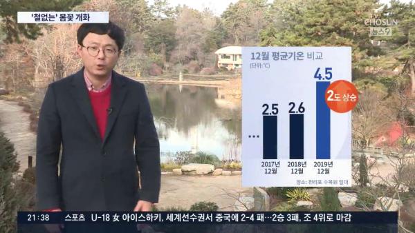 韓國冬天氣溫比往年高出2度 大量春季花種冬天開花！