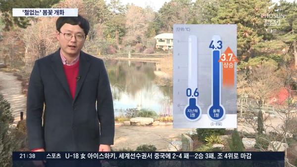 韓國冬天氣溫比往年高出2度 大量春季花種冬天開花！