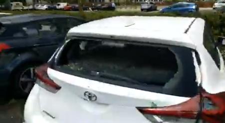 澳洲首都坎培拉天降大型冰雹 砸碎車窗、大量雀鳥受傷死亡