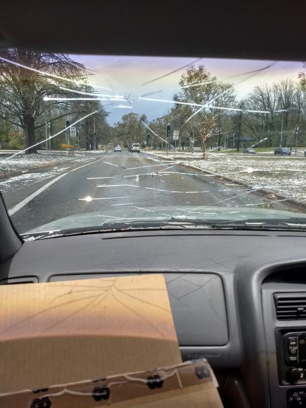 澳洲首都坎培拉天降大型冰雹 砸碎車窗、大量雀鳥受傷死亡