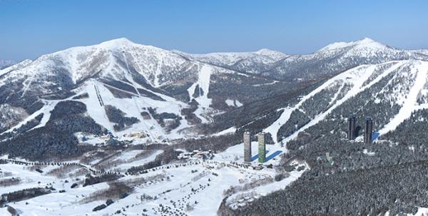 北海道星野度假村滑雪場發生雪崩 8名法國旅客被埋 1人無心跳呼吸
