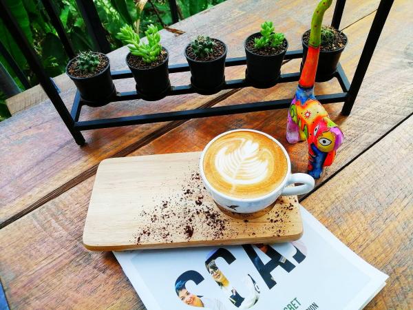 清邁森林中的寧靜咖啡室Boonma Cafe 佈滿綠色植物環境中歎咖啡