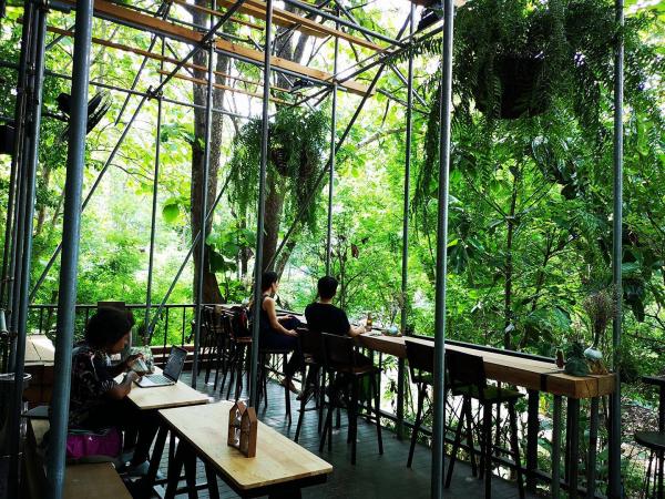 清邁森林中的寧靜咖啡室Boonma Cafe 佈滿綠色植物環境中歎咖啡