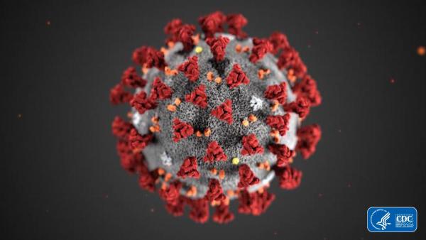 武漢肺炎疫情料2月下旬或3月達頂峰 英病毒專家：比伊波拉更具威脅性恐釀大爆發