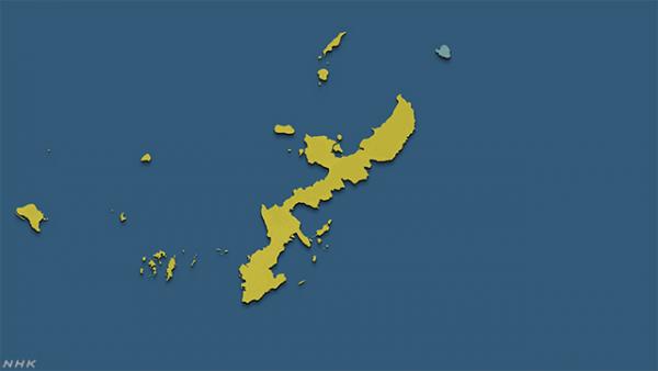 鑽石公主號郵輪曾停泊沖繩約9小時 女的士司機疑曾接觸船上乘客確診