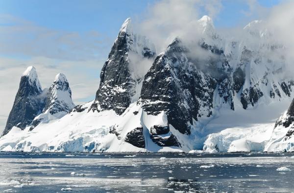 南極企鵝因全球暖化數量暴跌7成 科學家：融冰影響整條食物鏈