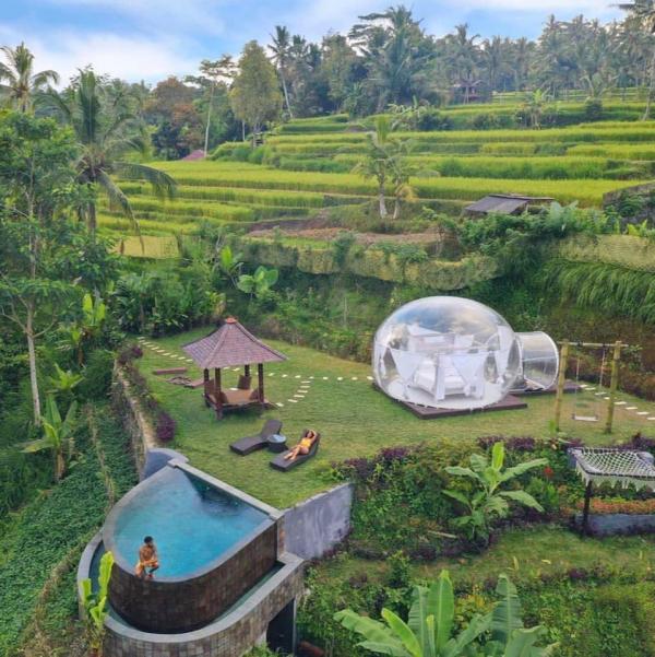 峇里島透明波波屋酒店「Bubble Hotel Bali」 座擁絕美海景/觀賞浪漫星空