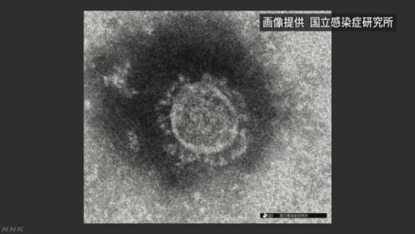 日本政府公布武漢肺炎就醫標準 連續4日發燒37.5度以上等症狀