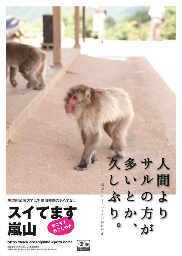 京都嵐山逆勢宣傳吸客 海報標語自嘲：猴子比人還要多