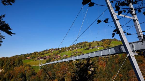 瑞士6大取景地逐個睇！ 布里恩茨湖、全景橋、蘇黎世老城區