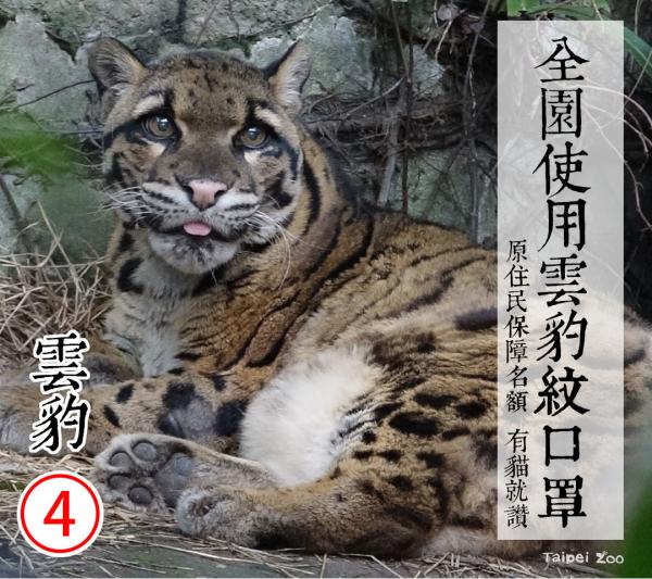 台北市立動物園園長選舉 超萌明星動物防疫政綱
