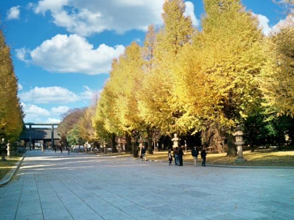 5大東京銀杏景點推介 國營昭和記念公園、明治神宮外苑金黃色隧道