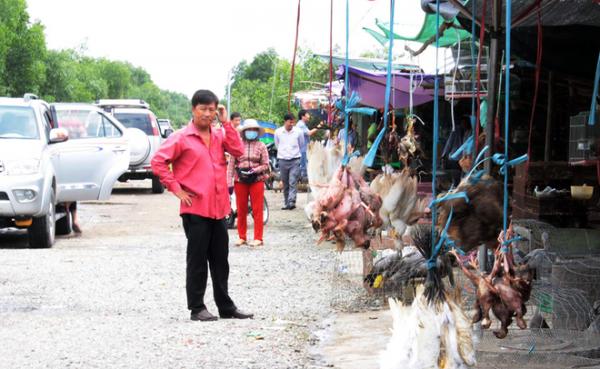 越南市場無視疫情售賣野味 雀鳥被縫眼折翼活生生煮熟