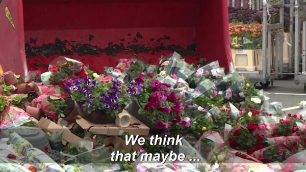 疫情下鮮花需求大跌 荷蘭單日銷毀過百萬朵鬱金香玫瑰