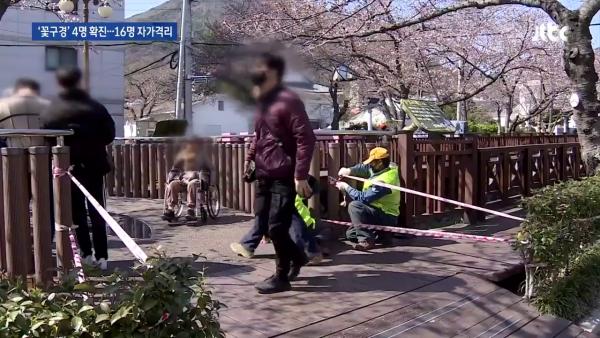 櫻花節慶取消仍難阻賞花人潮 4名韓國確診者曾訪著名賞花景點！