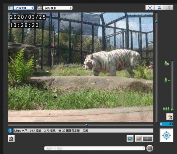 7間動物園開設網上直播！ 實時直擊可愛水獺、樹熊生活百態