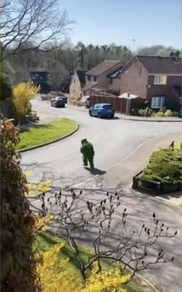 英國鄰居為出門扮灌木叢街上移動 網民：在玩PUBG真人版？