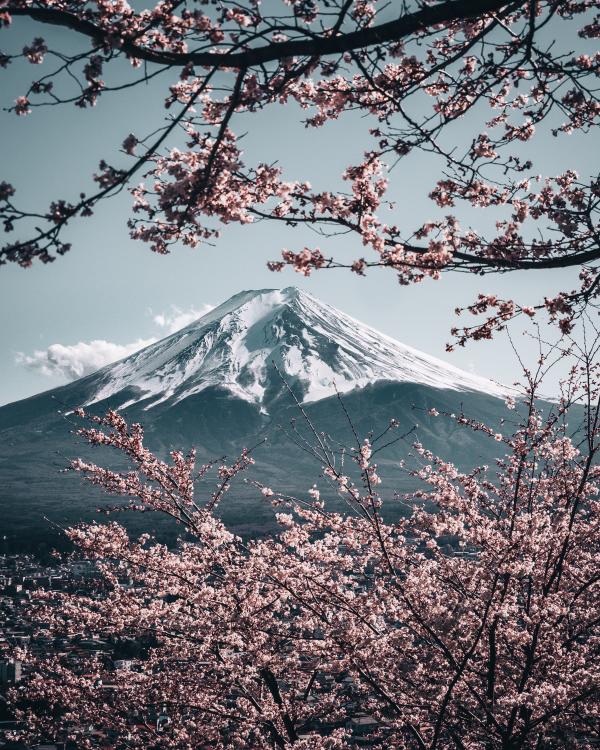 日本首次公開富士山爆發災情預測 東京及周邊地區交通癱瘓、災害廢棄物比311大地震高10倍