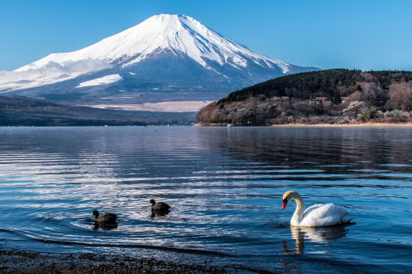 日本首次公開富士山爆發災情預測 東京及周邊地區交通癱瘓、災害廢棄物比311大地震高10倍
