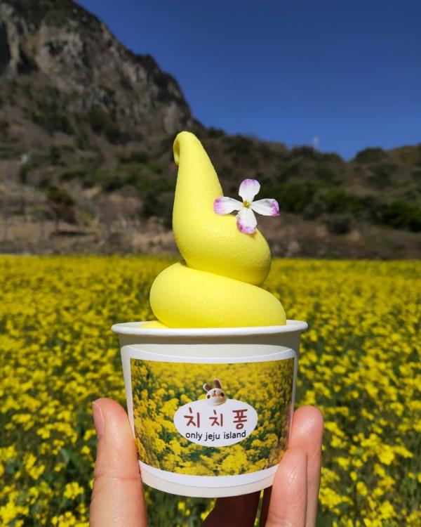 濟州島10大必試甜品推介 少女小兔雪糕 - Chichipong（치치퐁）