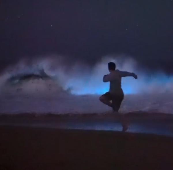 美國加州現罕見藍色螢光海浪 科學家：美麗背後或有大量生物死亡