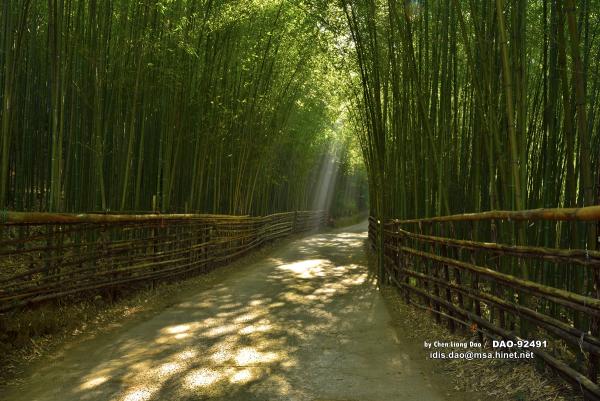 15大台版世界知名景點 台灣也有馬丘比丘、嵐山竹林、天空之鏡！