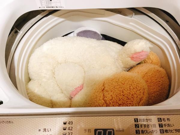 日本人夫洗巨型毛公仔塞爆洗衣機 觸發網民分享毛公仔爆笑「被洗」慘況