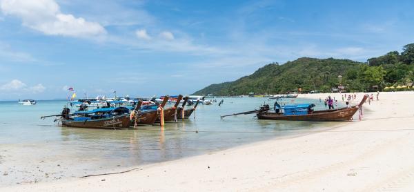 泰國封城遊客大減 海龜築巢數量創20年來新高