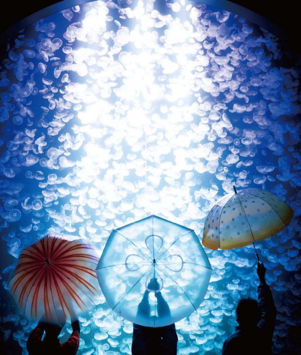 日本雜貨品牌新推水母雨傘 半透明顏色令雨天變夢幻