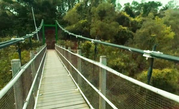 澳門人氣郊遊景點 - 黑沙水庫郊野公園吊橋