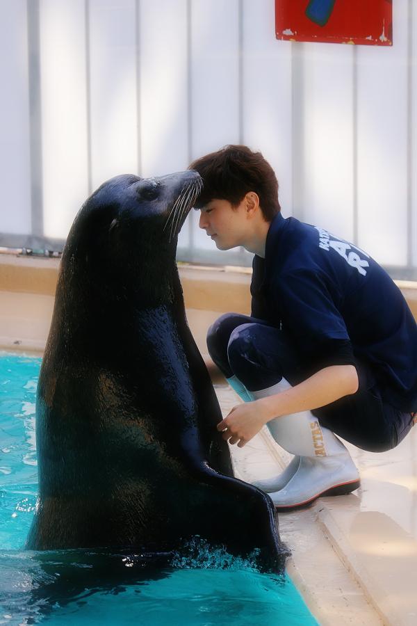 日本水族館推靚仔飼養員吸Like 網民心心眼：想變成水獺被他餵食
