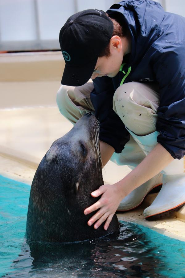 日本水族館推靚仔飼養員吸Like 網民心心眼：想變成水獺被他餵食