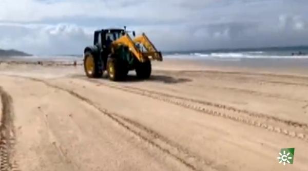 西班牙為防疫噴漂白水消毒海灘 嚴重破壞生態 網民怒批：白痴！