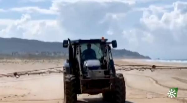 西班牙為防疫噴漂白水消毒海灘 嚴重破壞生態 網民怒批：白痴！