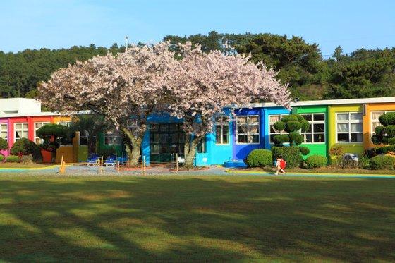 韓國5大彩色打卡景點推介 涯月小學多樂分校（재주 애월초등학교더럭분교）