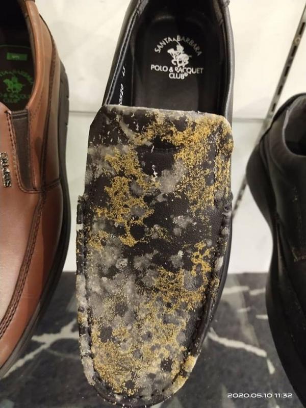 馬來西亞封城商場關閉2個月 重開後驚見皮鞋皮袋全發霉佈滿霉菌