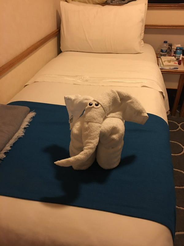 網民瘋傳24種酒店創意造型毛巾 「毛巾人」安坐浴室歡迎你？