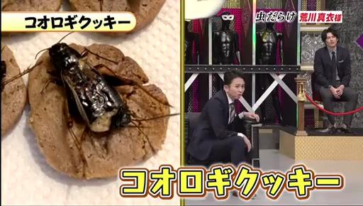 日本水著女星愛食昆蟲 家養300隻蟲大讚：可愛到想將牠們吃下