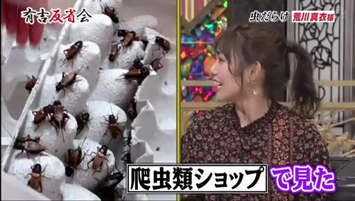 日本水著女星愛食昆蟲 家養300隻蟲大讚：可愛到想將牠們吃下