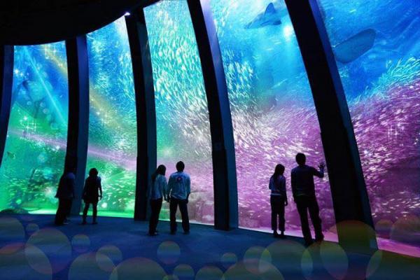 桃園「Xpark水族館」今夏開幕 佔地16萬平方尺/設4層樓高透明觀景窗