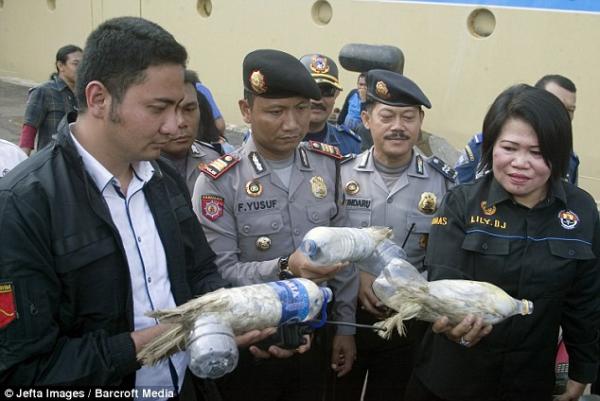印尼揭發野生瀕危鸚鵡走私案 活生生硬塞膠樽內！