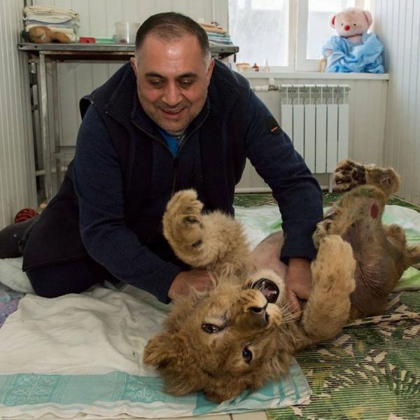 俄羅斯獅子BB遭打斷後腳 確保乖乖配合旅客打卡