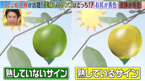 蘋果愈紅不等於愈甜？日本節目教1招揀甜蘋果