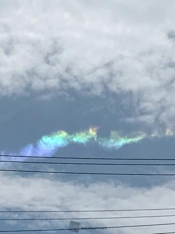 東京天空現罕見「彩虹雲」 雲內冰晶折射陽光見七彩奇景