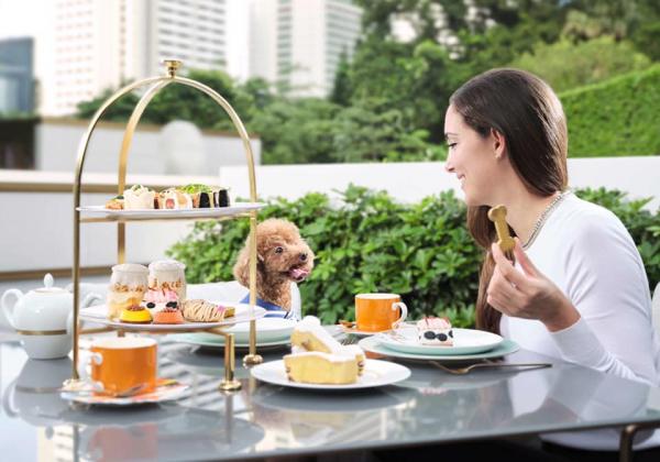 20大寵物友善．可帶貓狗入住酒店合集 美利酒店（Murray Hong Kong）「寵寵愛寵下午茶」