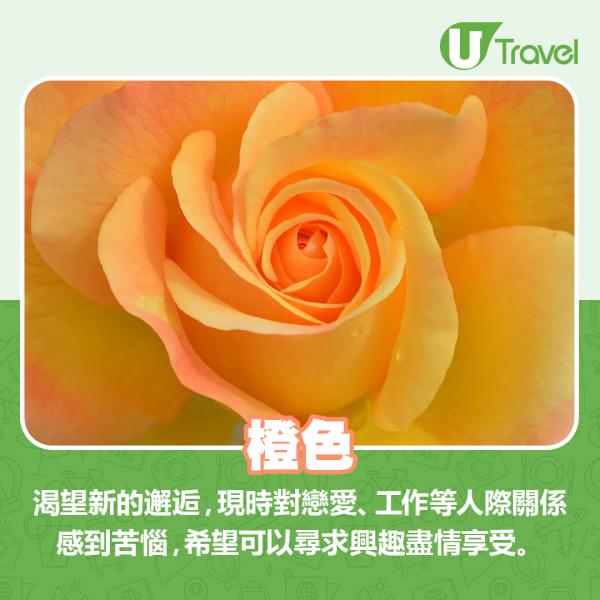 日本節目分享人氣8色心理測驗 揀顏色看穿你內心欲望